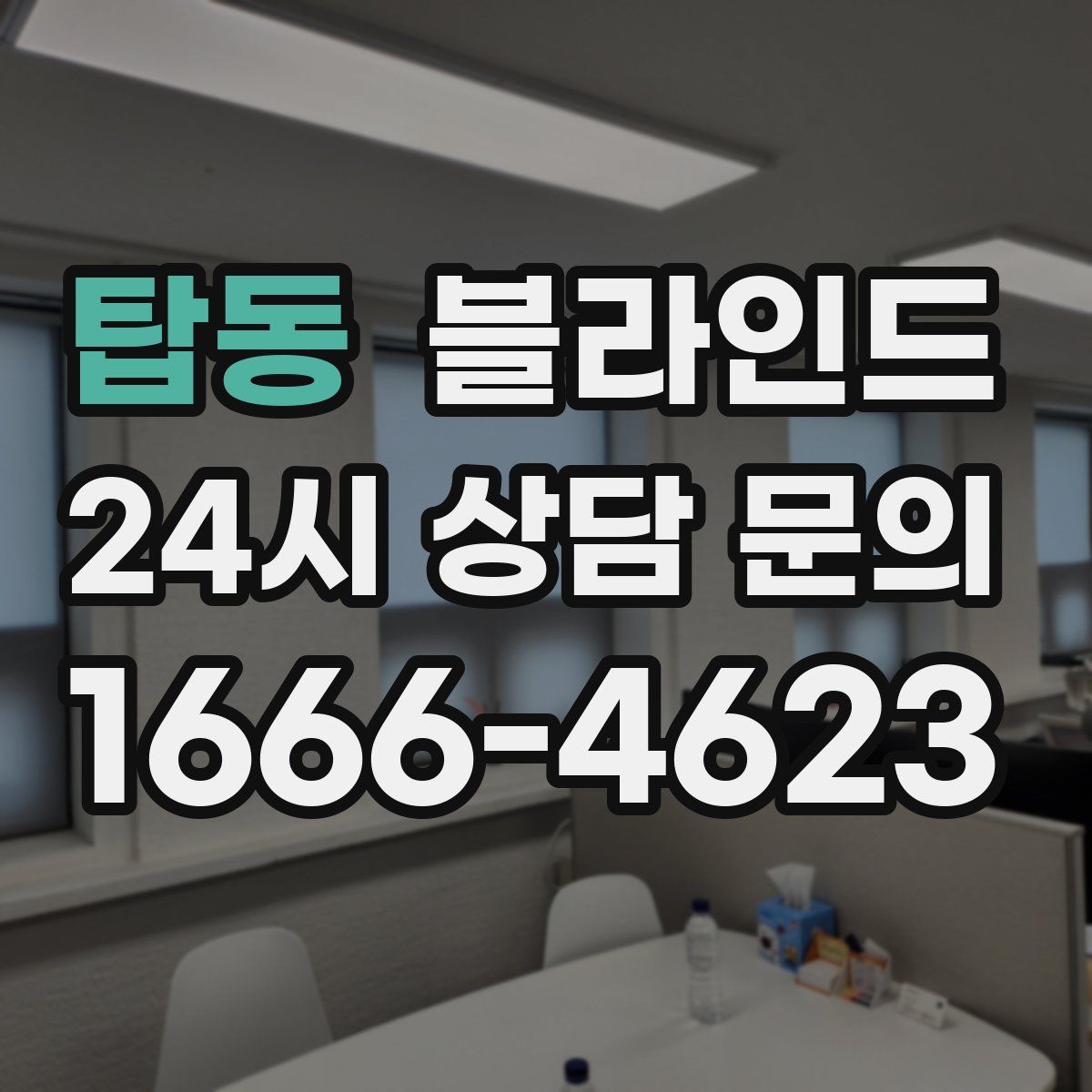 탑동 블라인드
