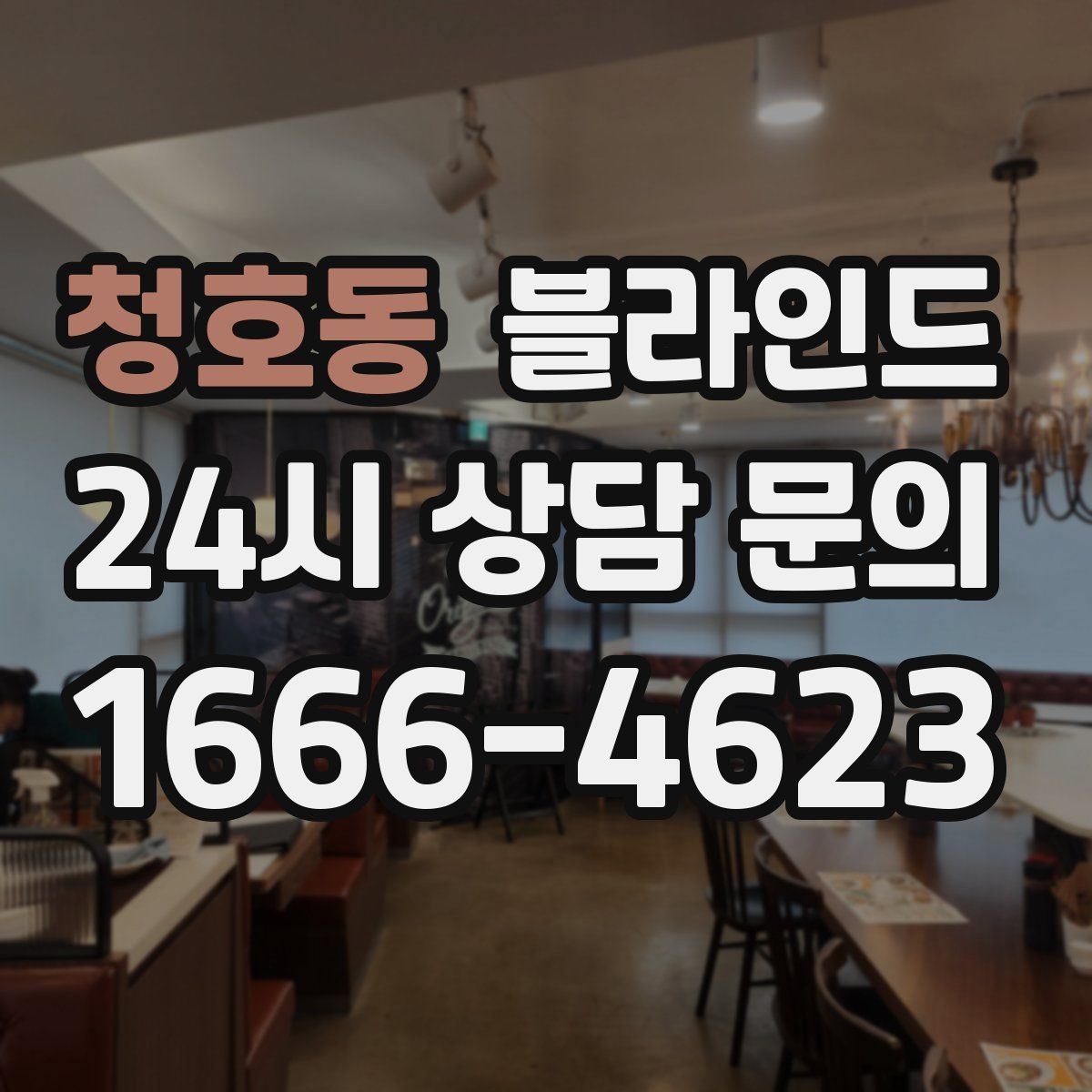 청호동 블라인드