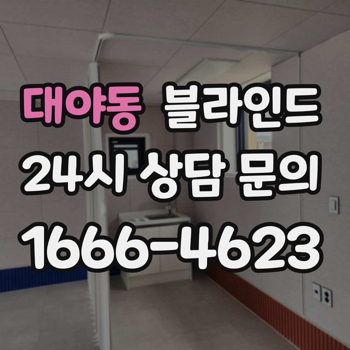 대야동 블라인드