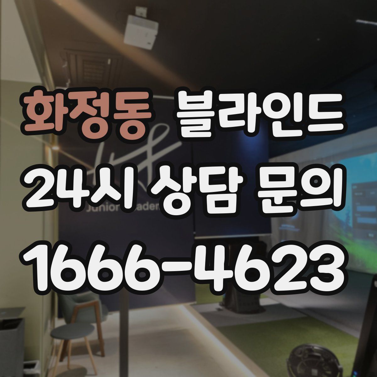 화정동 블라인드