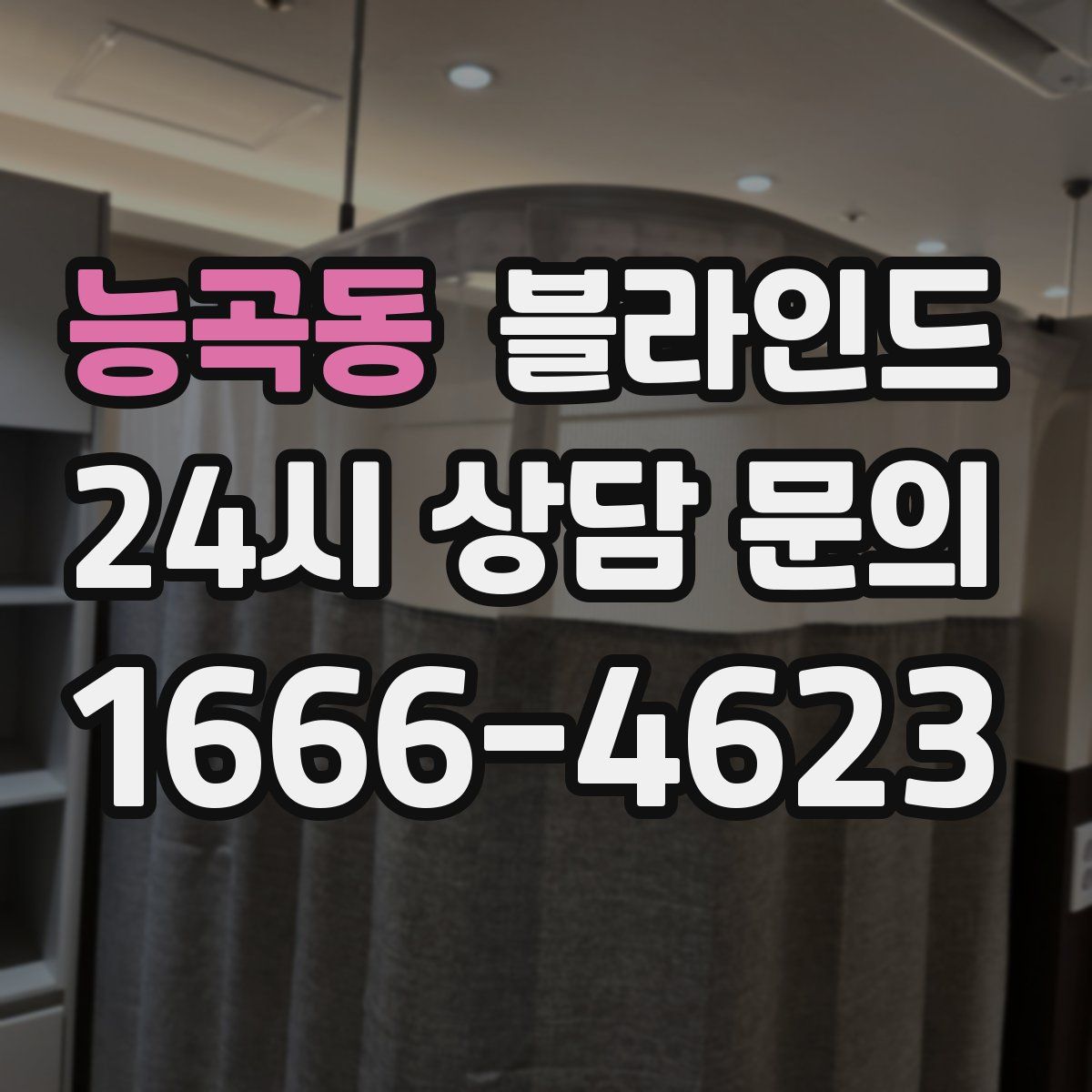 능곡동 블라인드
