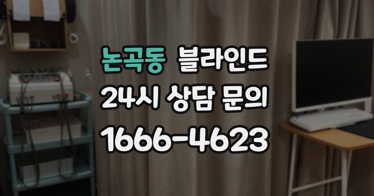 논곡동 블라인드