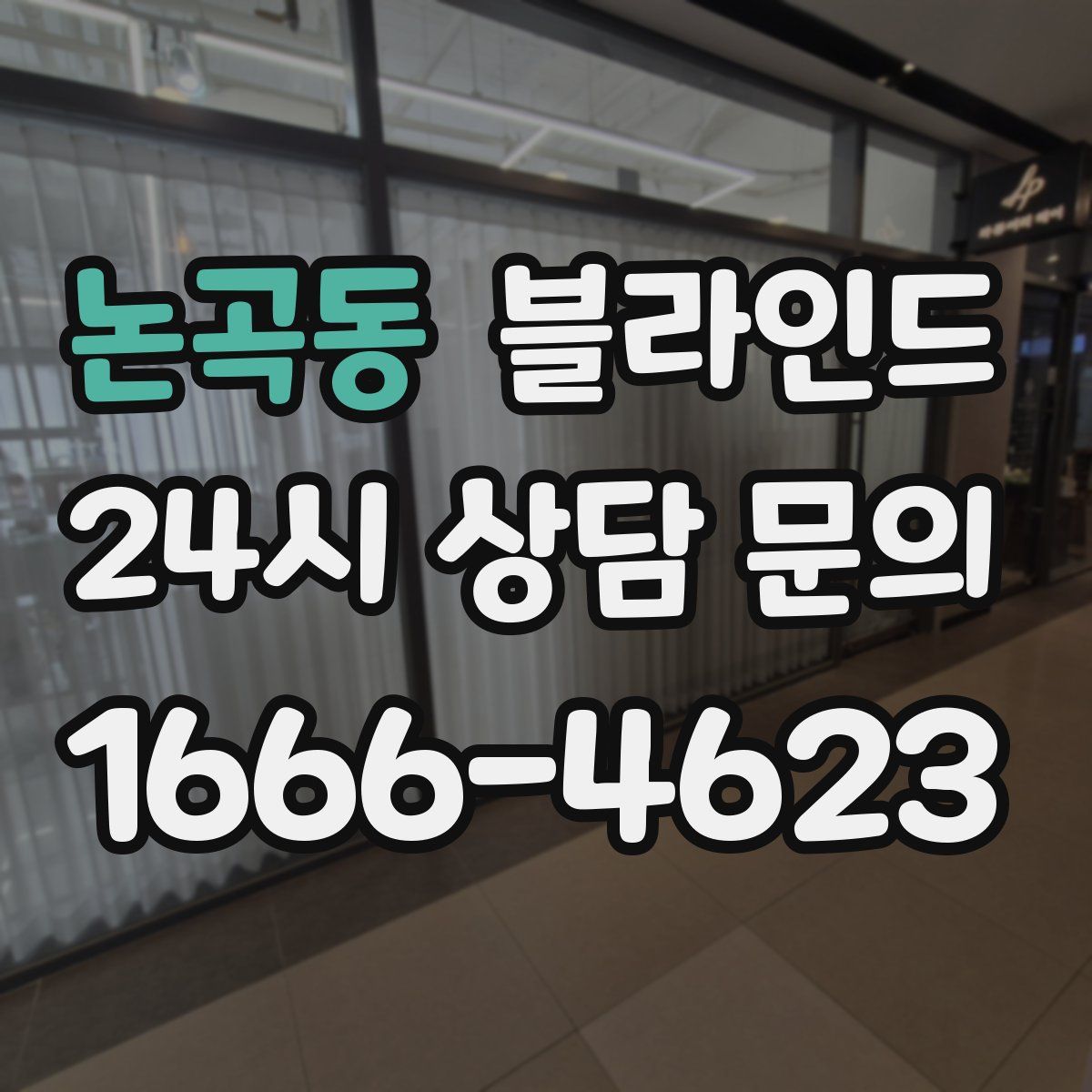 논곡동 블라인드