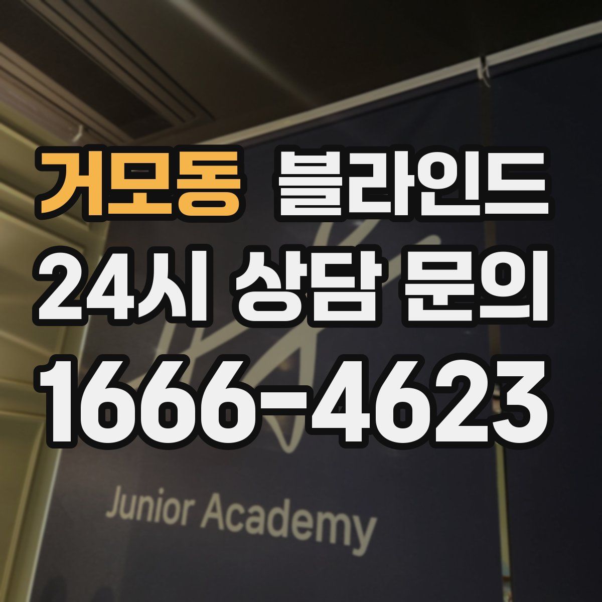 거모동 블라인드