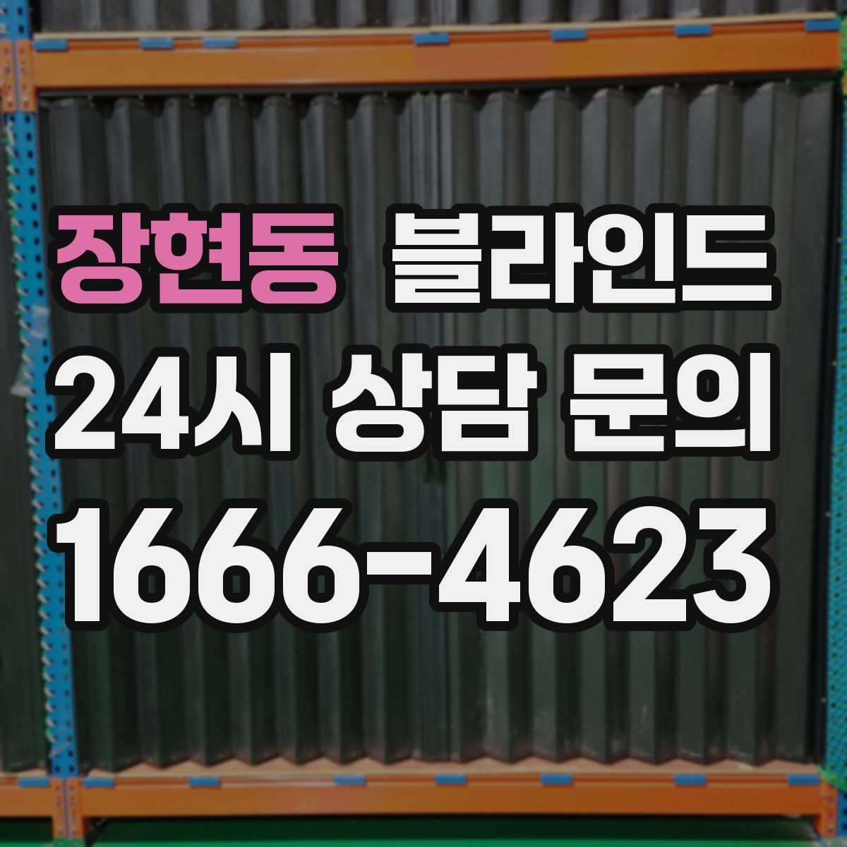 장현동 블라인드