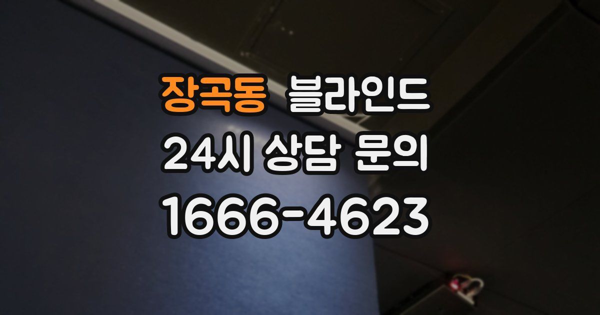 장곡동 블라인드