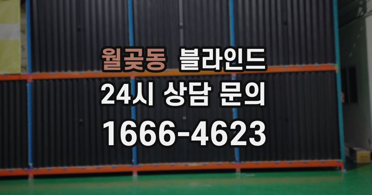 월곶동 블라인드