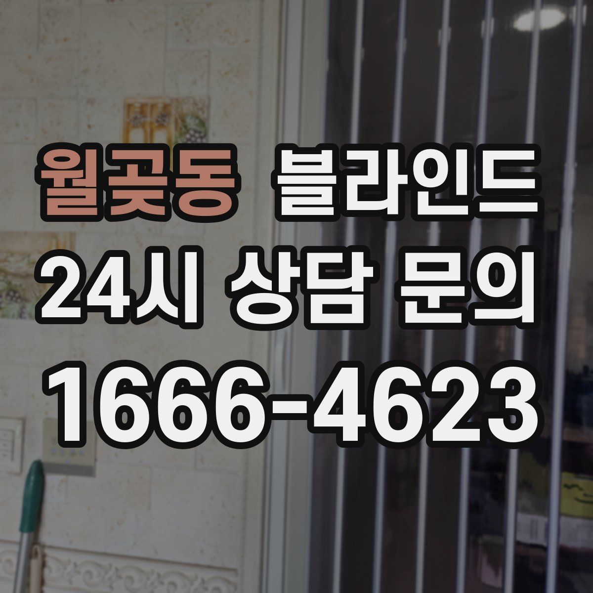 월곶동 블라인드