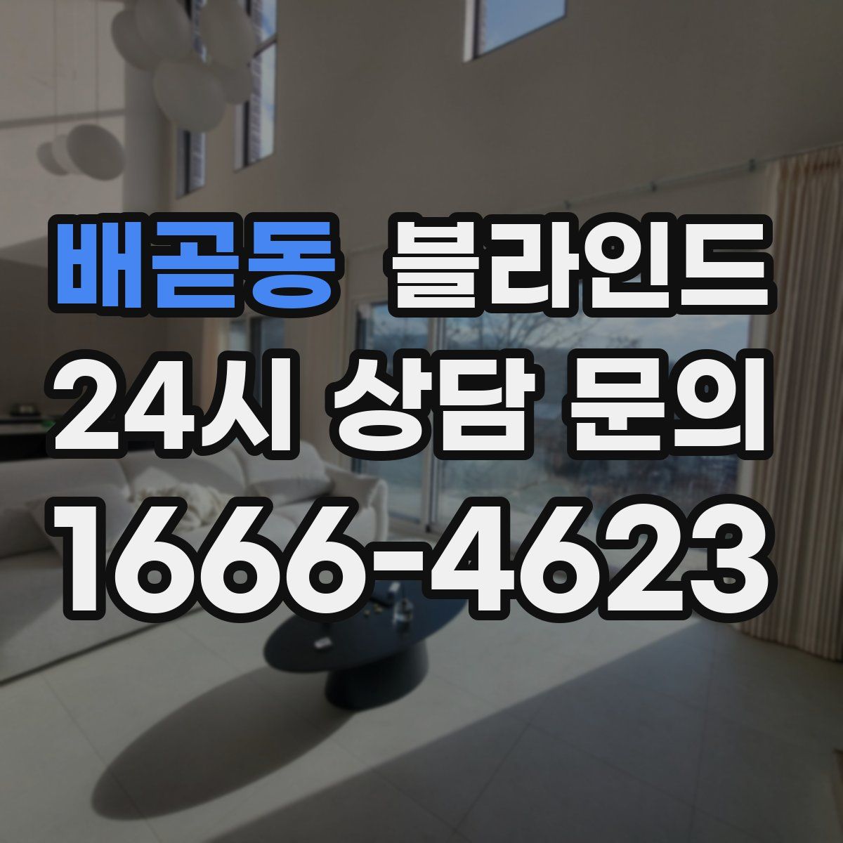 배곧동 블라인드