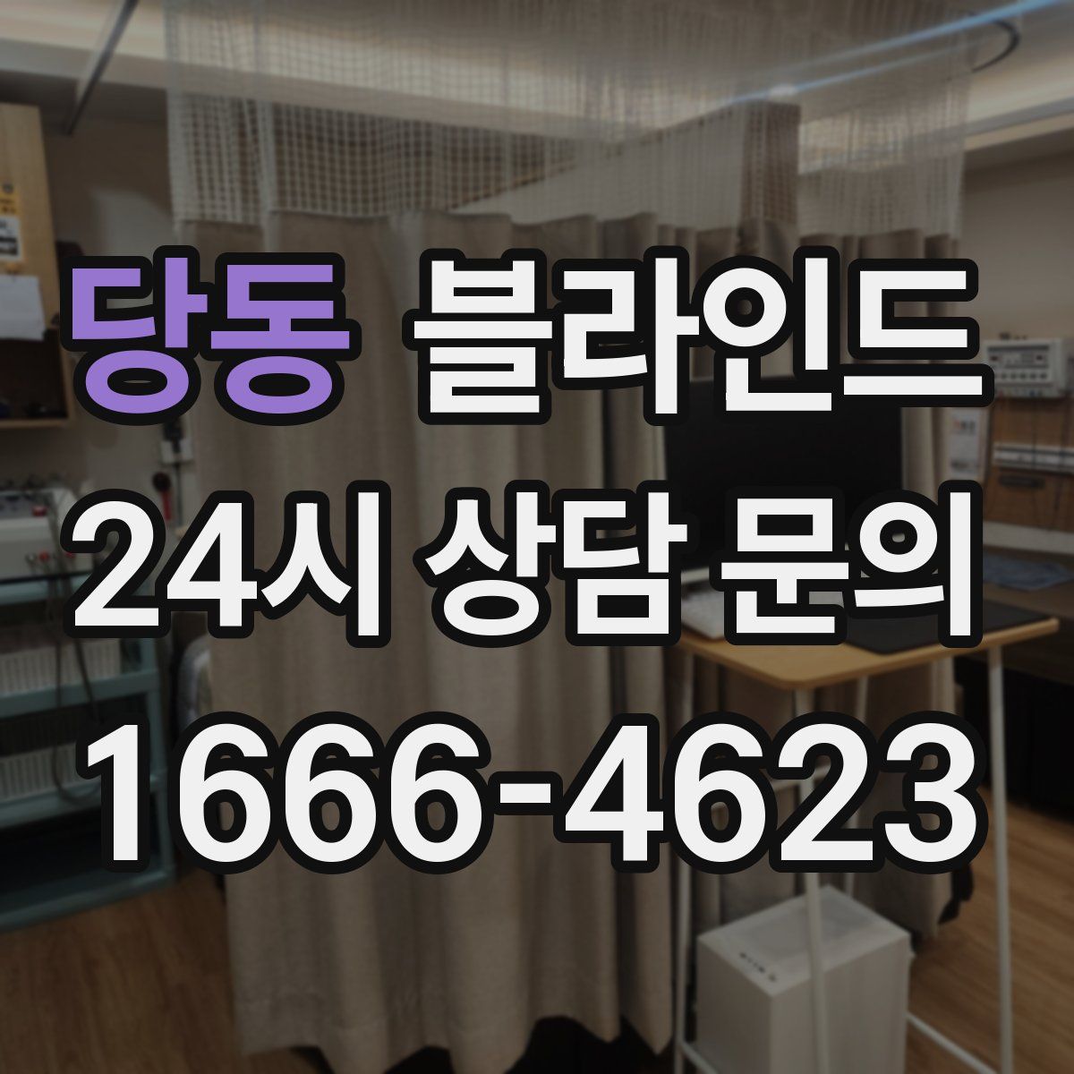 당동 블라인드