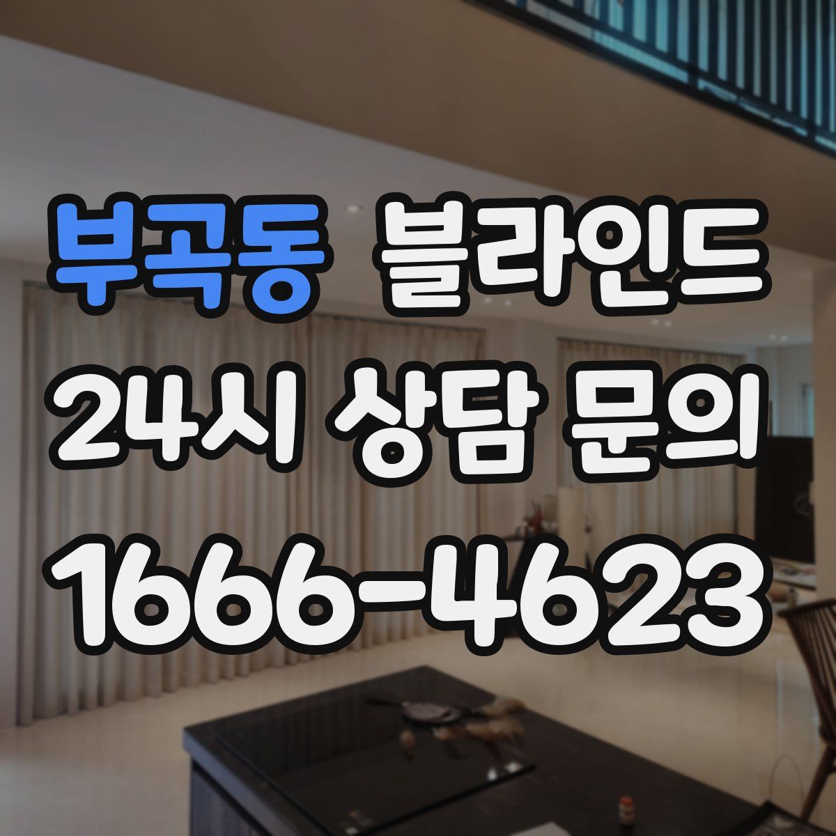 부곡동 블라인드
