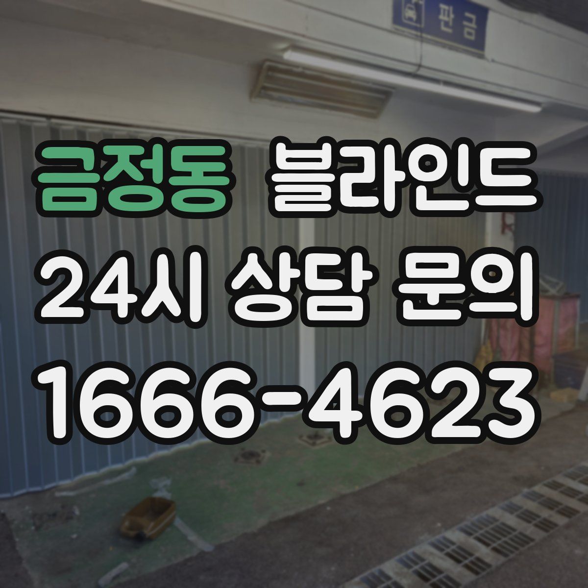 금정동 블라인드