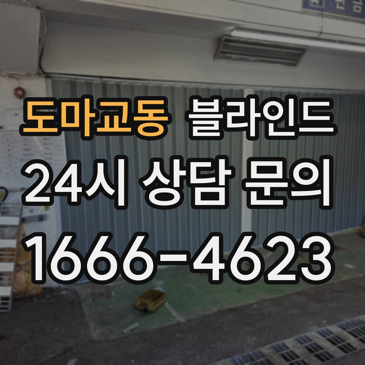 도마교동 블라인드