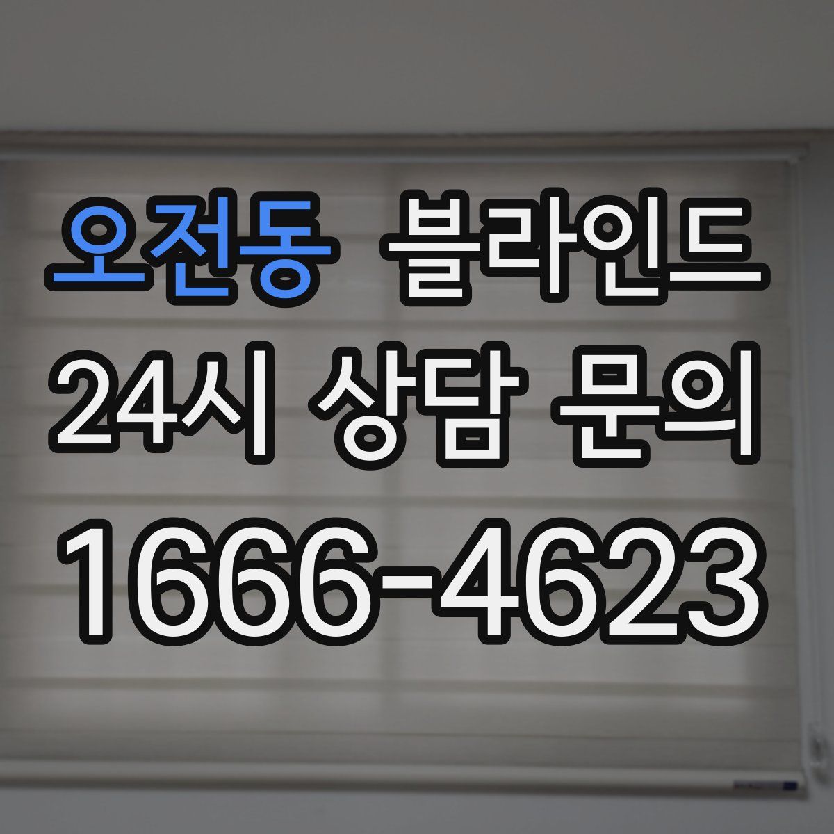 오전동 블라인드