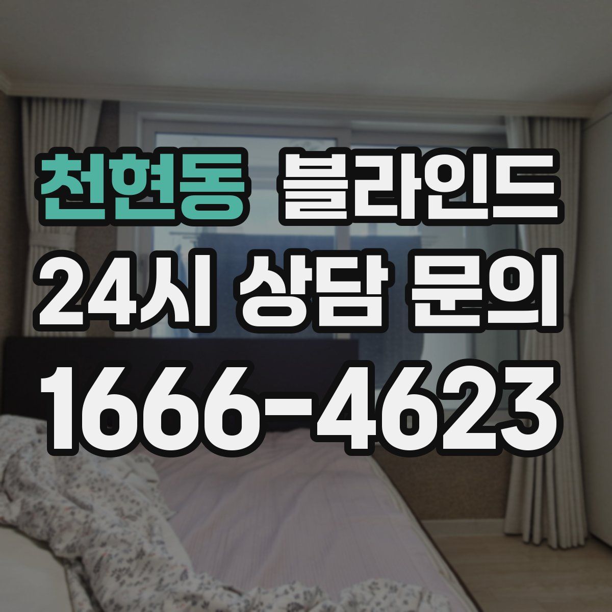천현동 블라인드