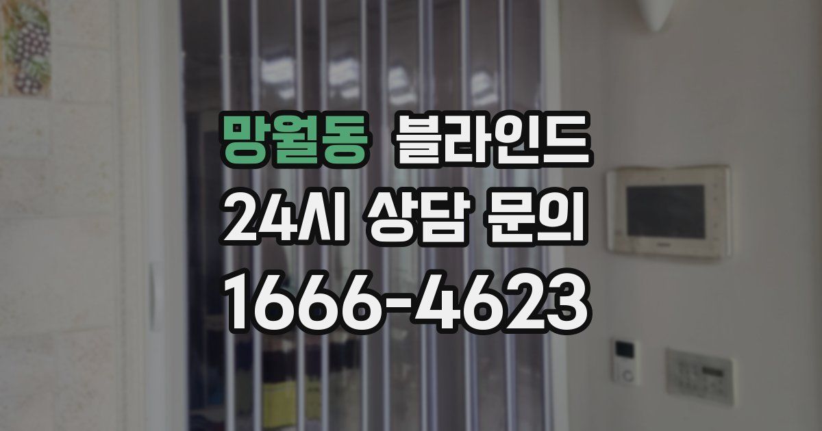 망월동 블라인드