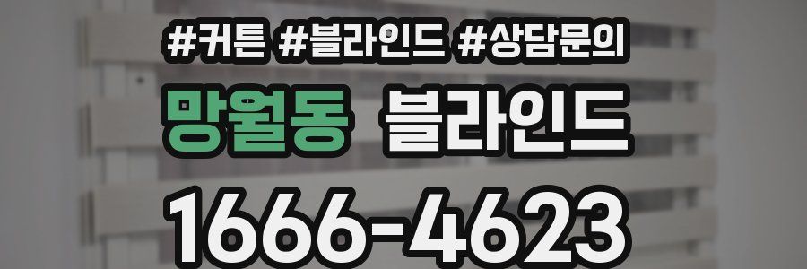 망월동 블라인드