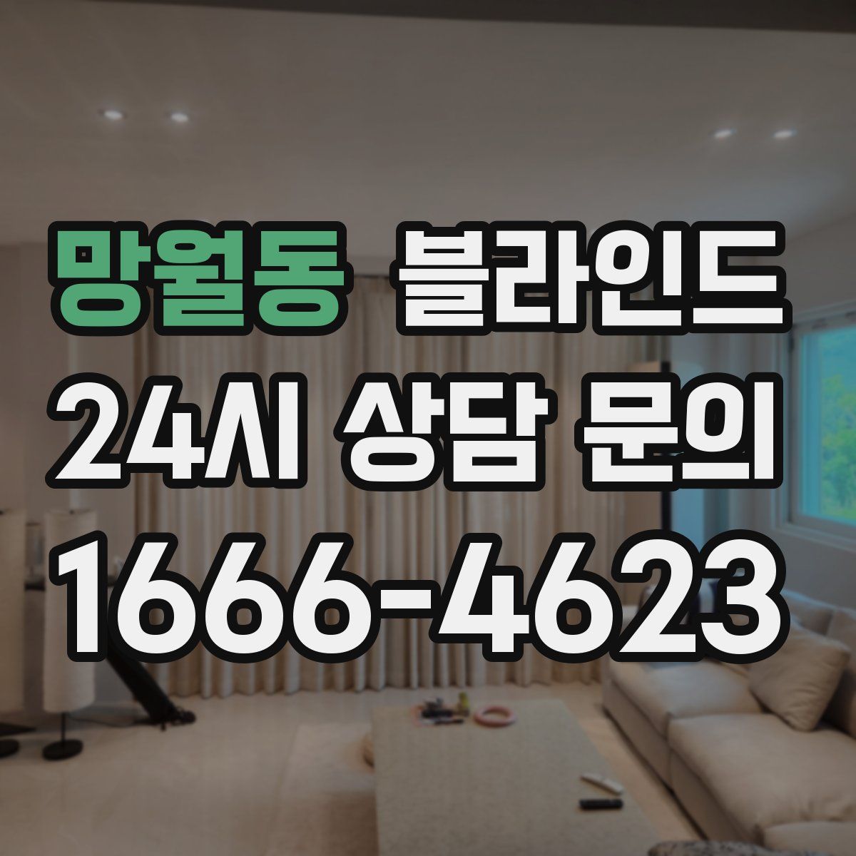 망월동 블라인드