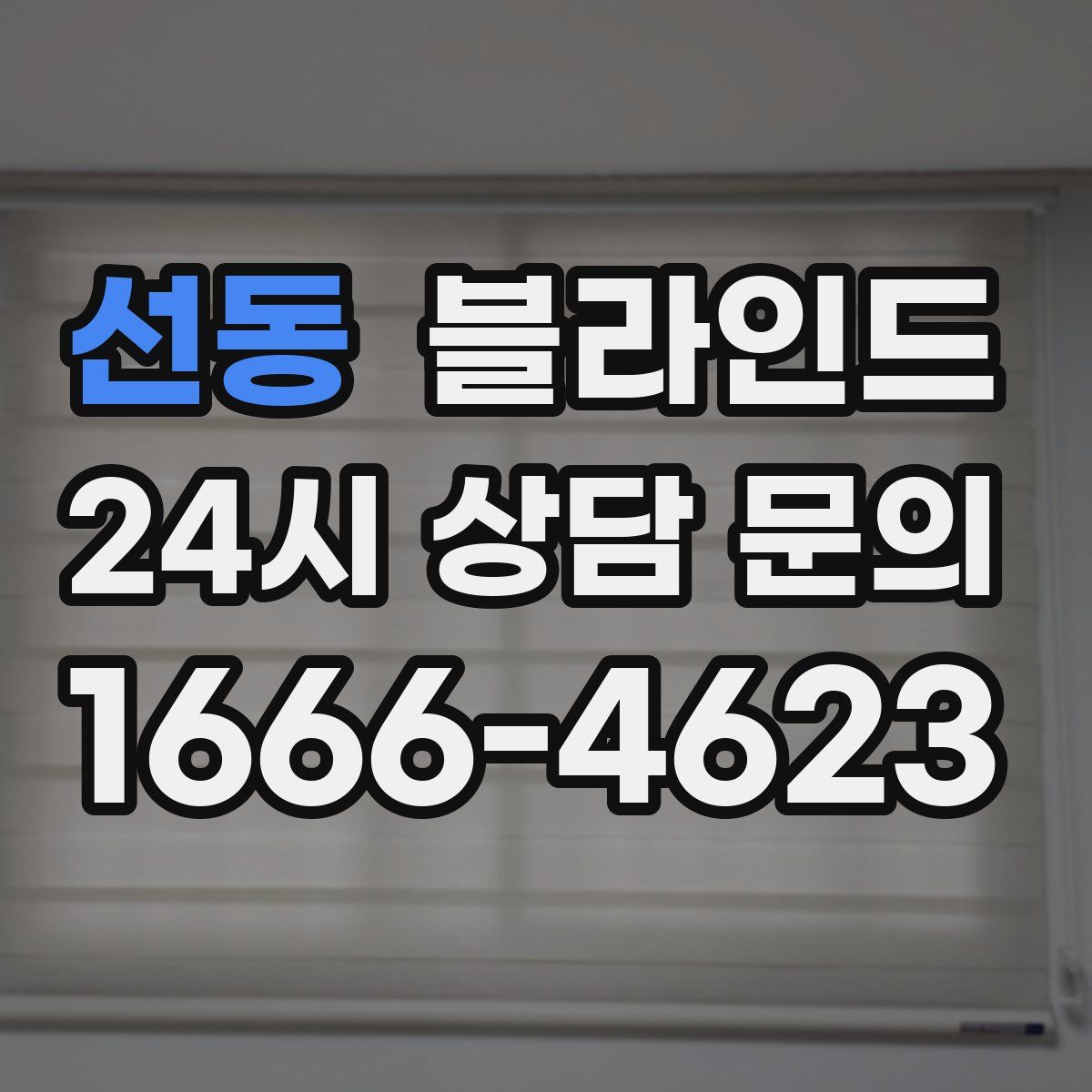 선동 블라인드