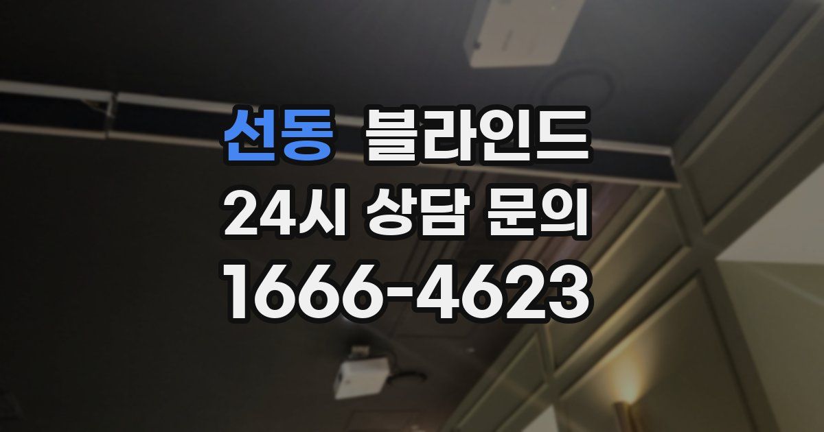 선동 블라인드