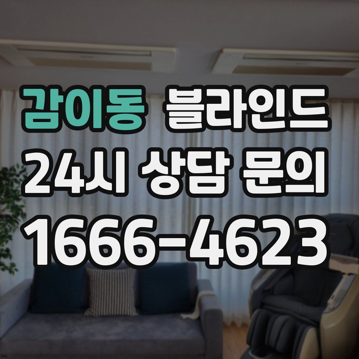 감이동 블라인드