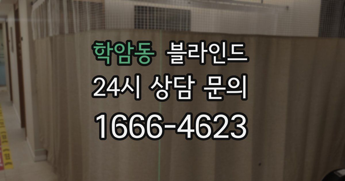 학암동 블라인드