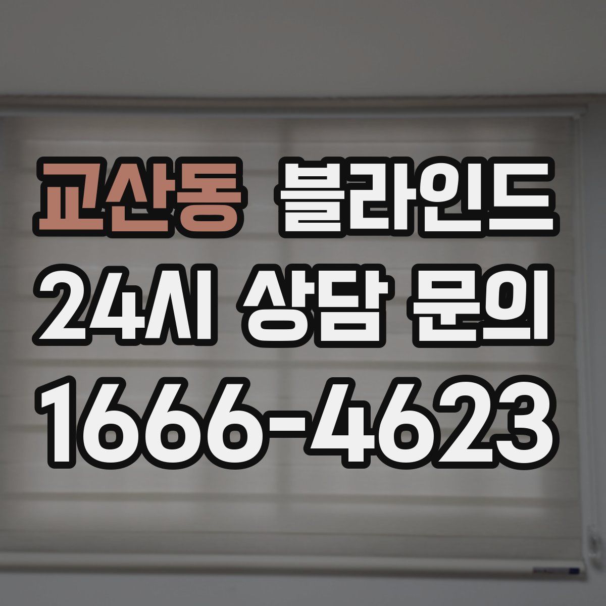 교산동 블라인드