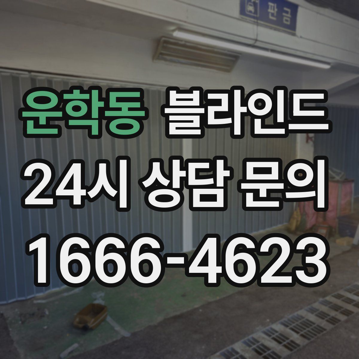 운학동 블라인드