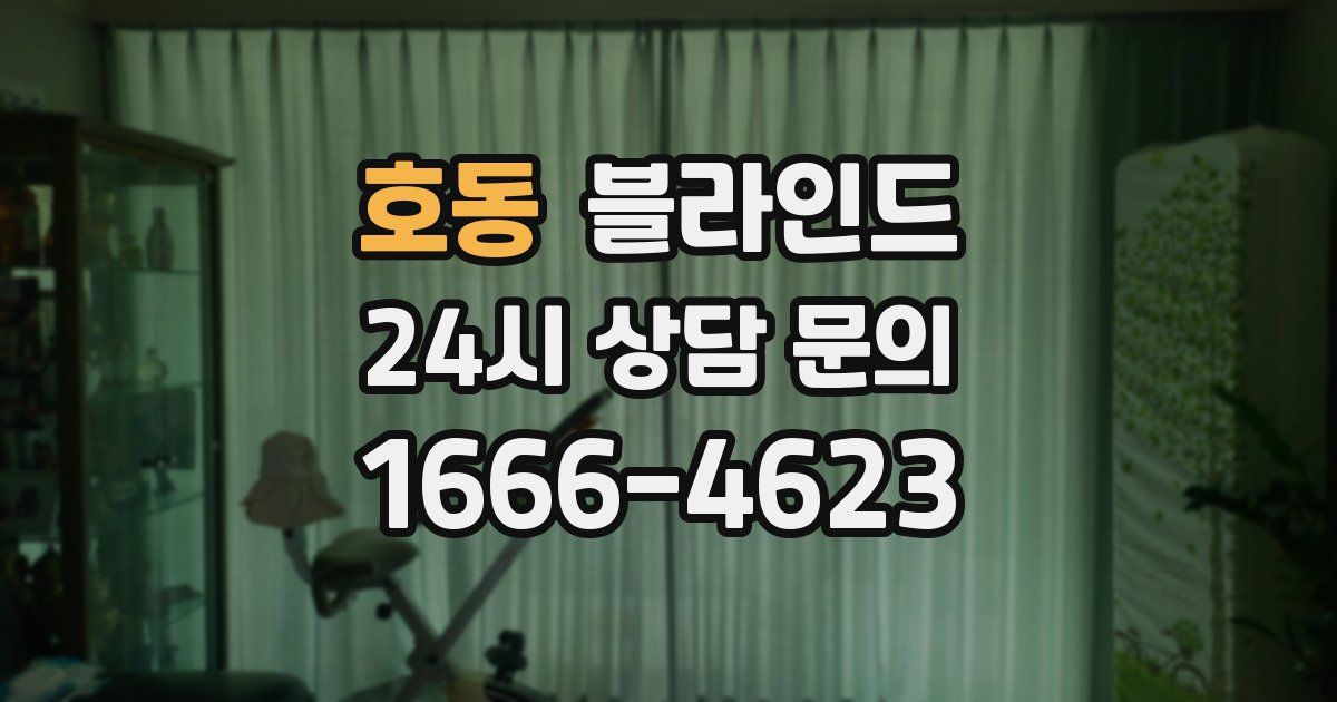 호동 블라인드