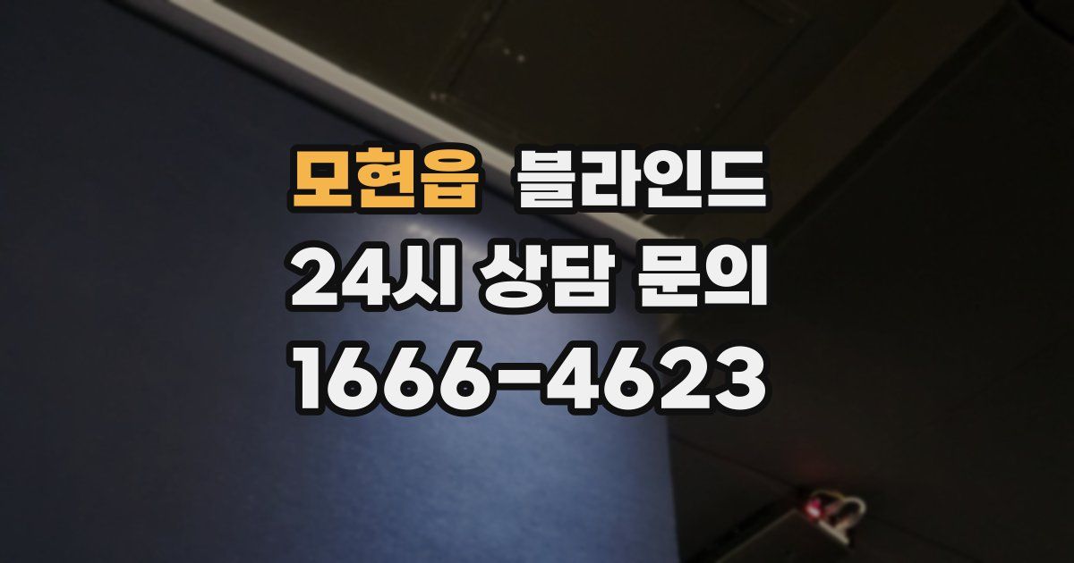 모현읍 블라인드