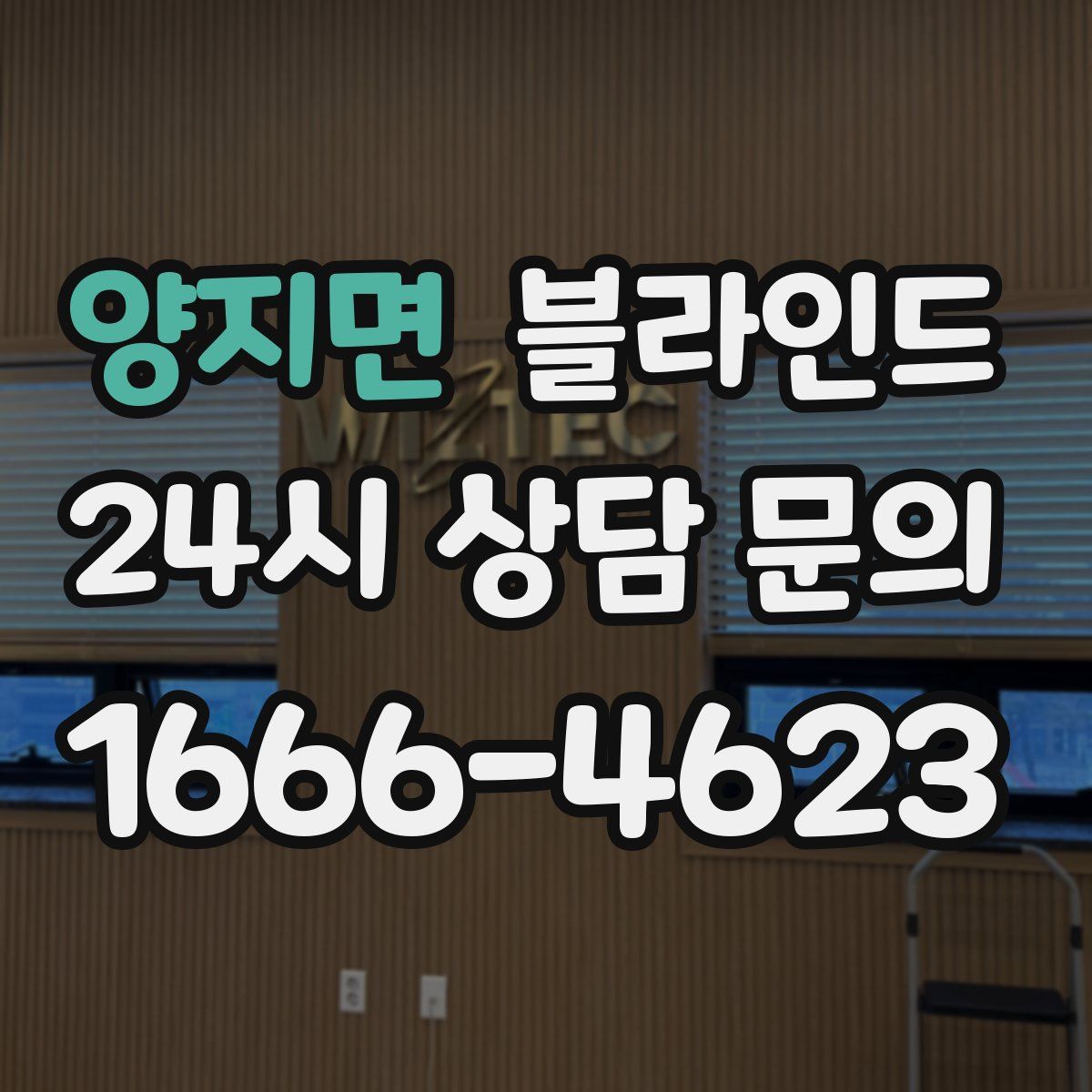 양지면 블라인드
