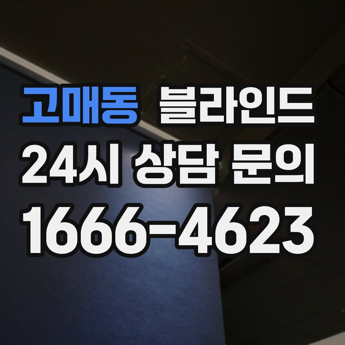 고매동 블라인드