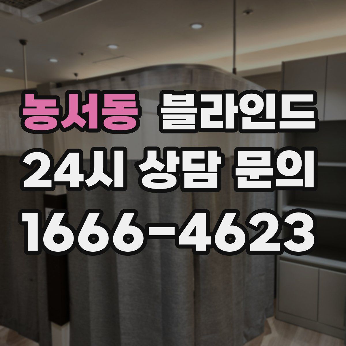 농서동 블라인드