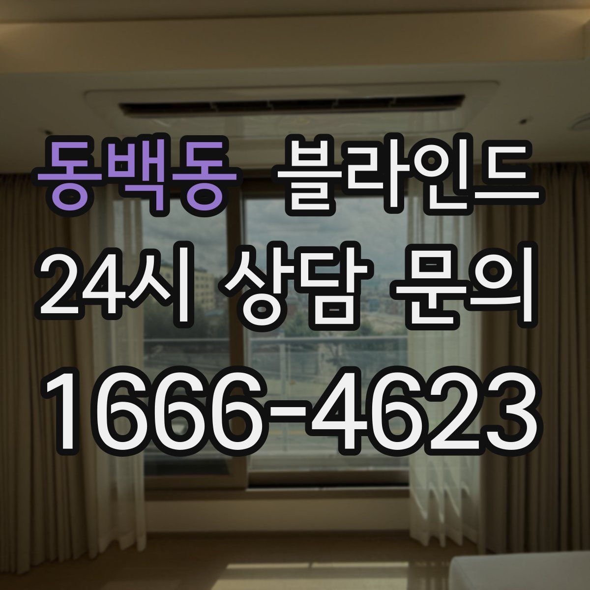 동백동 블라인드