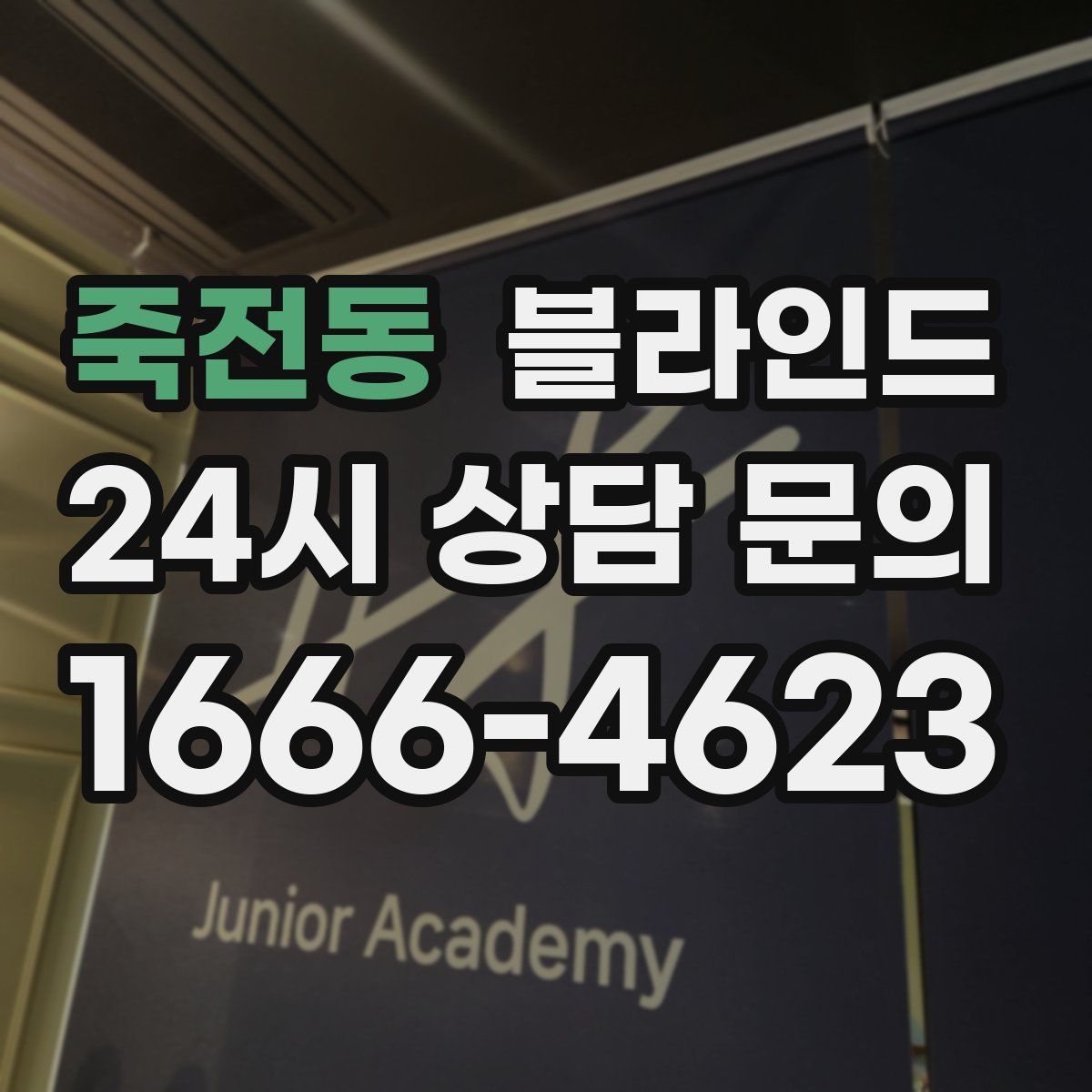 죽전동 블라인드