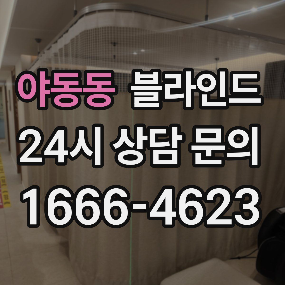 야동동 블라인드