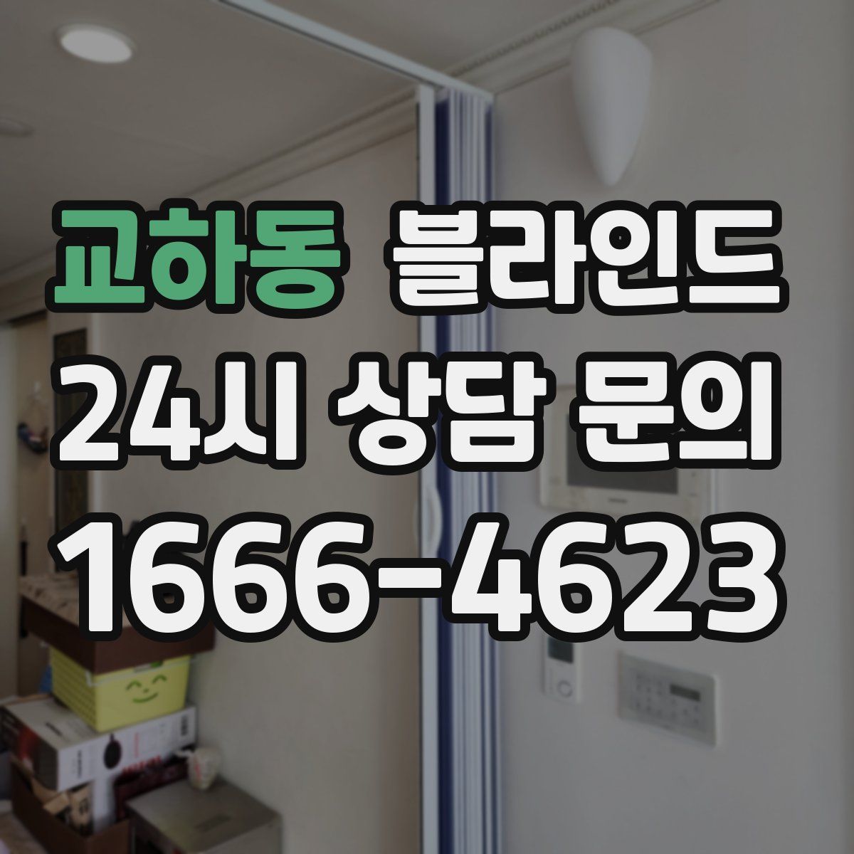 교하동 블라인드