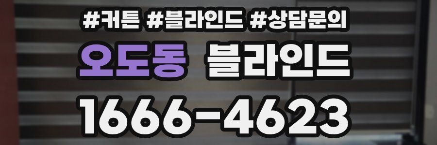 오도동 블라인드