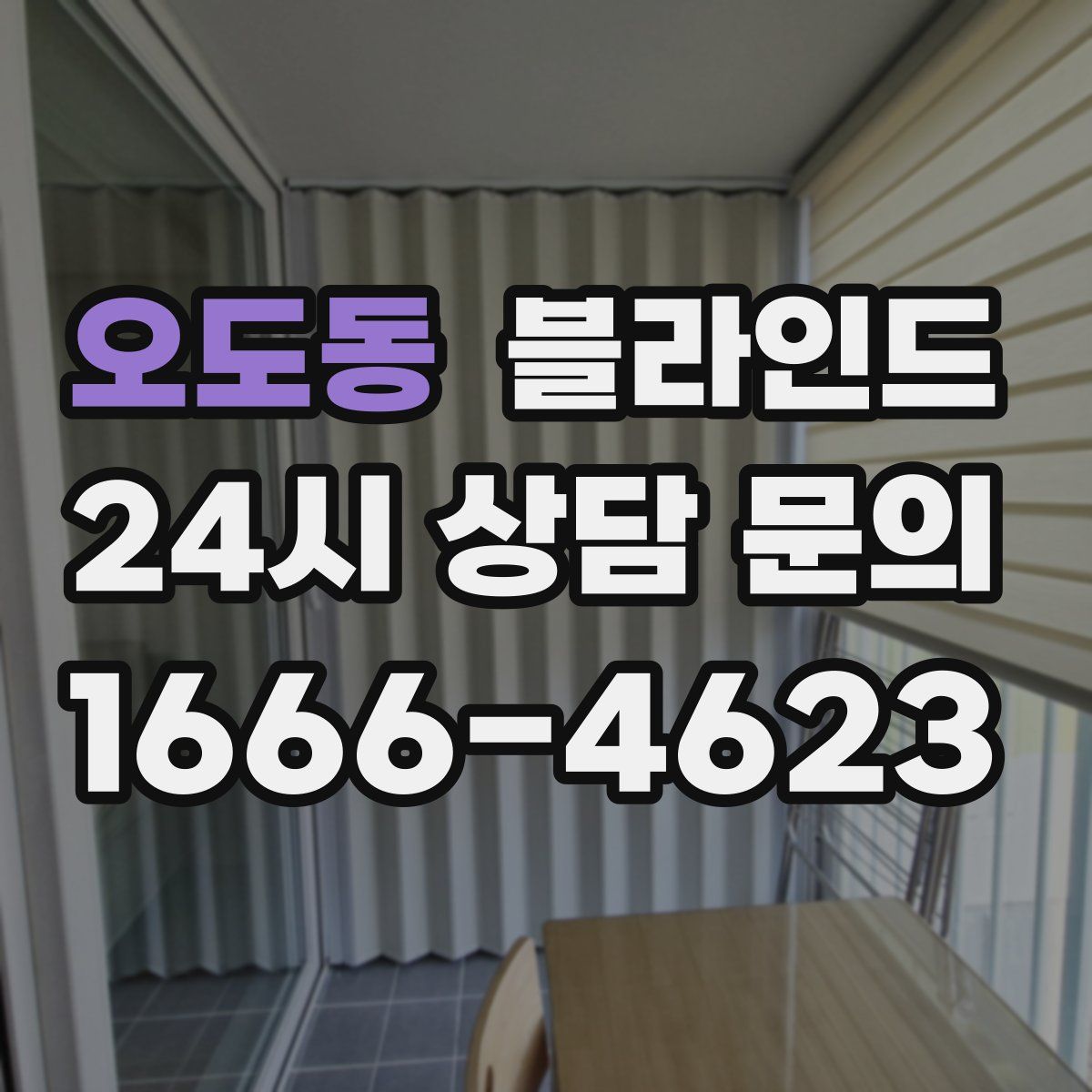 오도동 블라인드