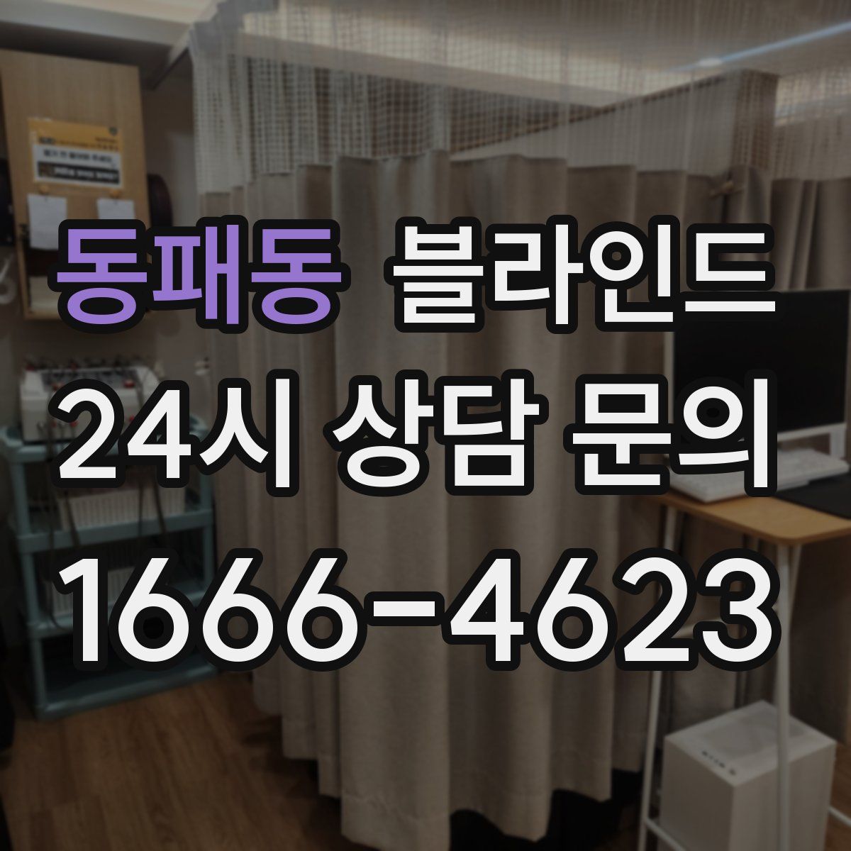 동패동 블라인드