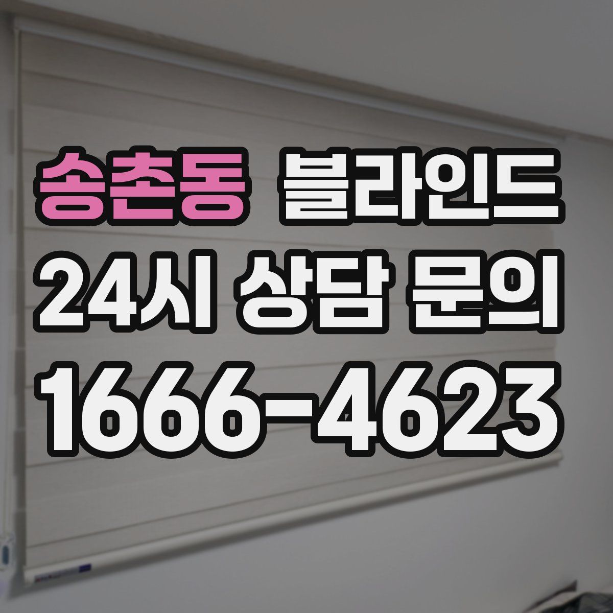 송촌동 블라인드