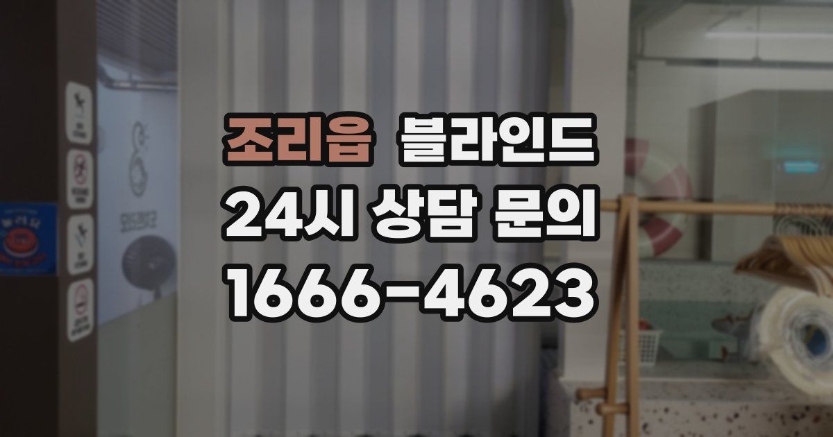 조리읍 블라인드