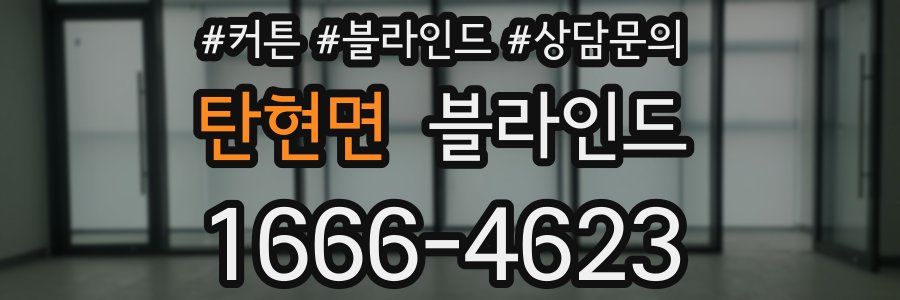 탄현면 블라인드