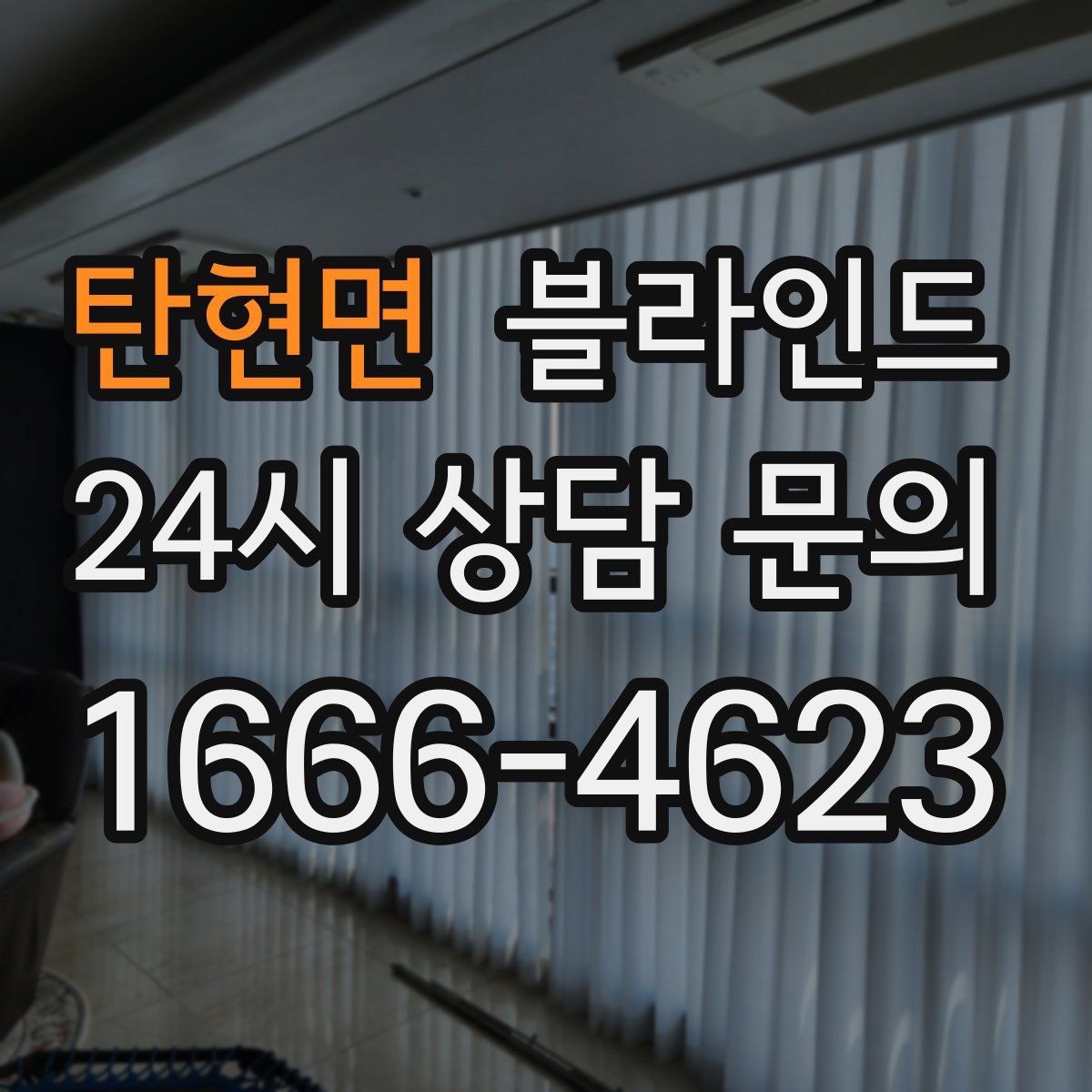 탄현면 블라인드