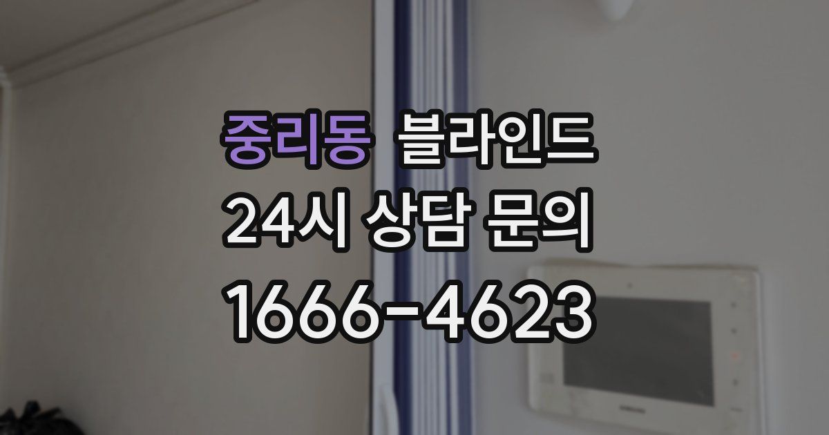 중리동 블라인드