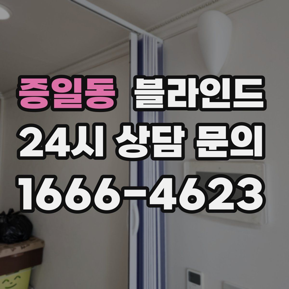 증일동 블라인드