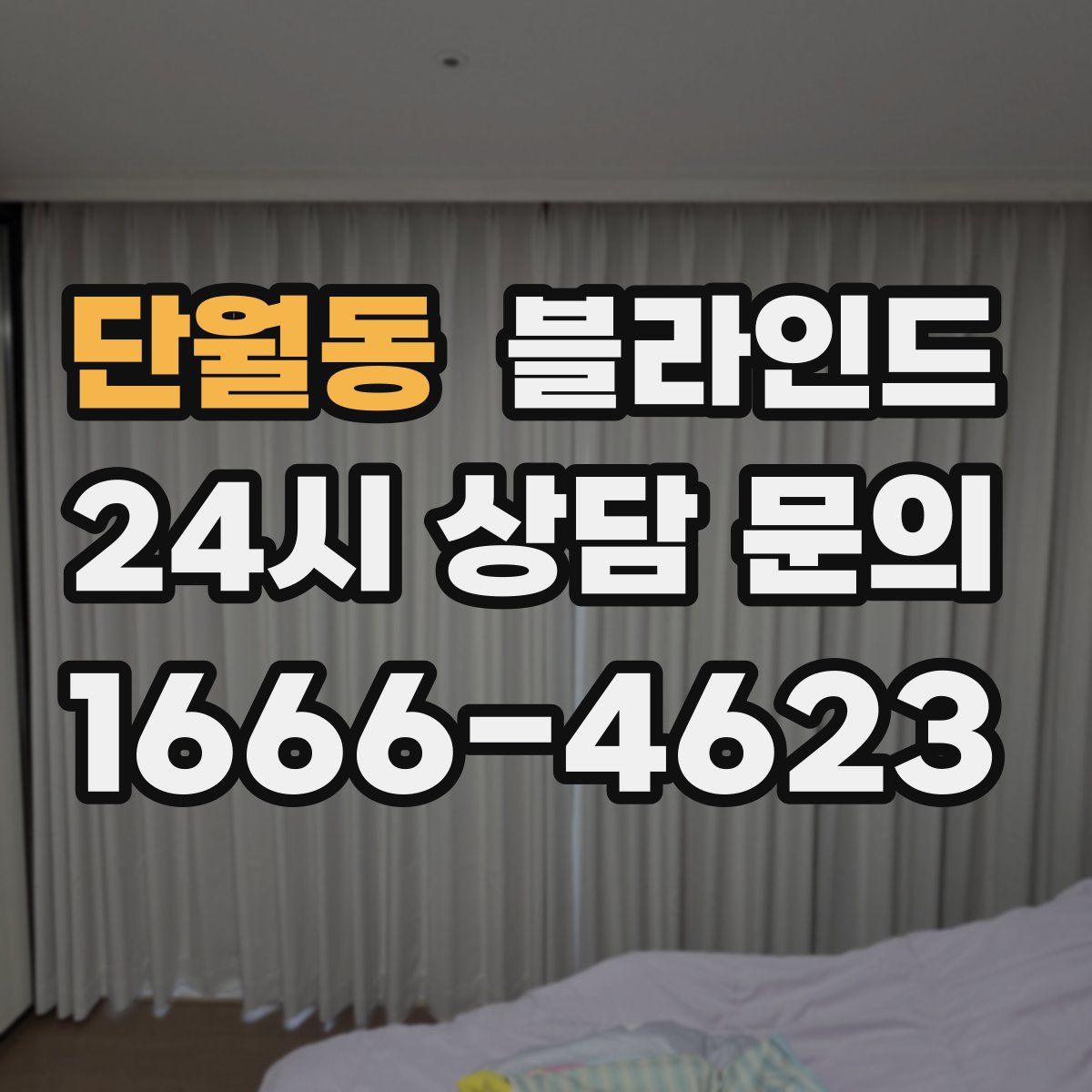 단월동 블라인드