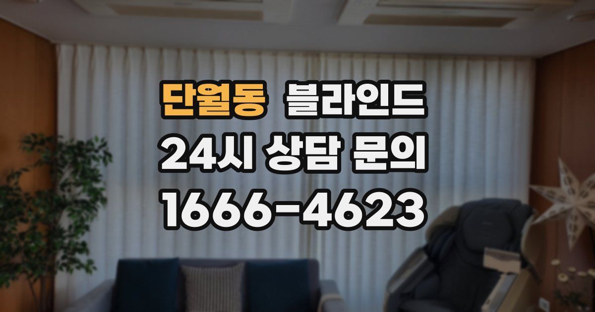 단월동 블라인드
