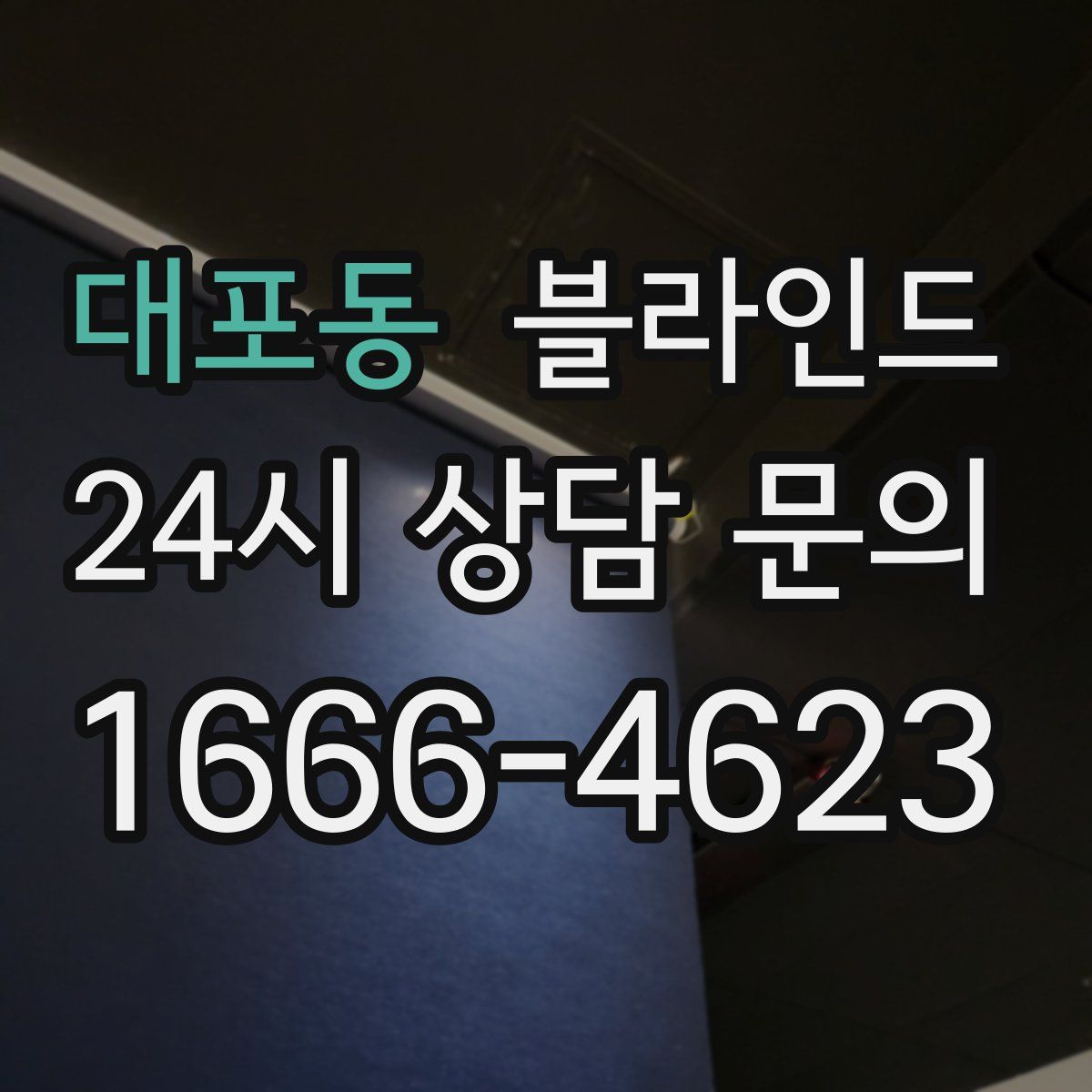 대포동 블라인드
