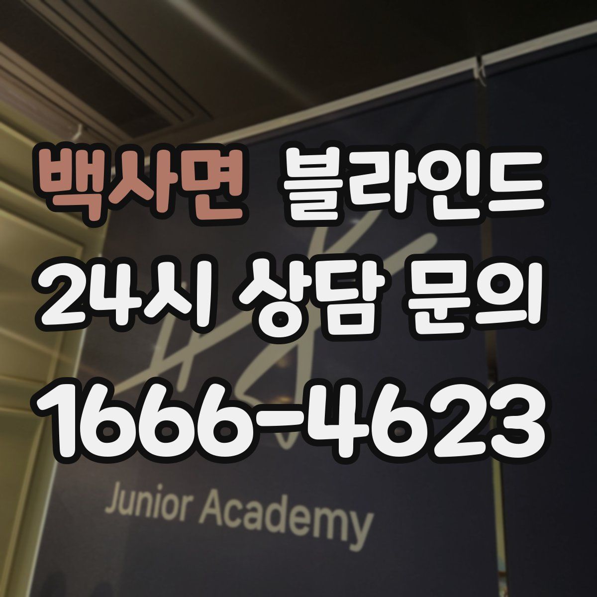백사면 블라인드